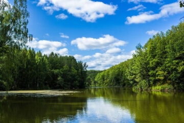 Остается дождаться утвержденных правительством России механизмов.