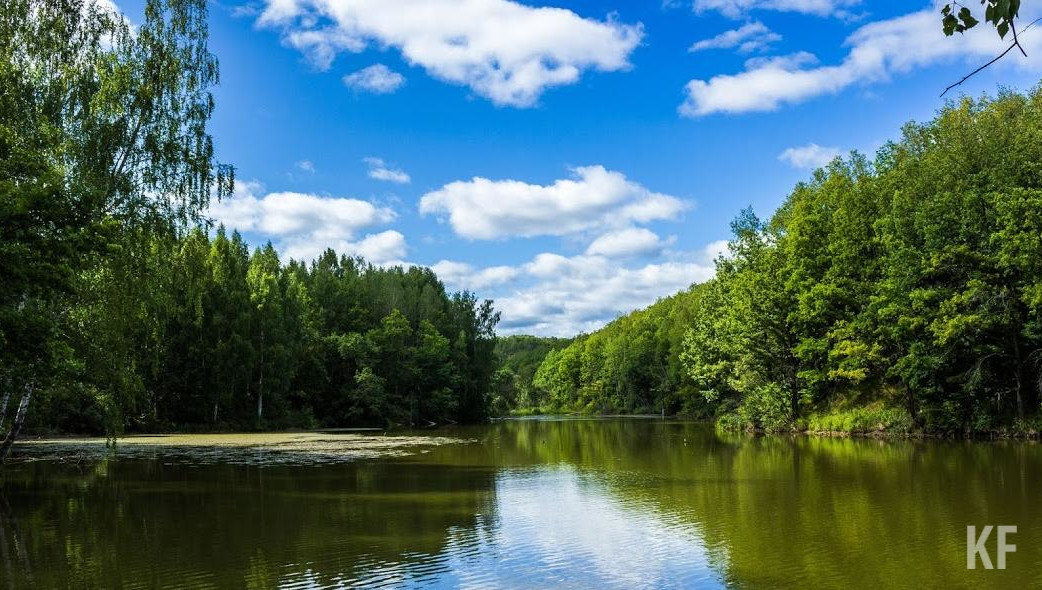 Остается дождаться утвержденных правительством России механизмов.