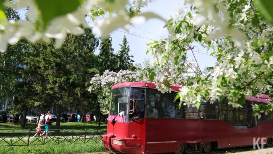 По этому факту пройдет служебная проверка.
