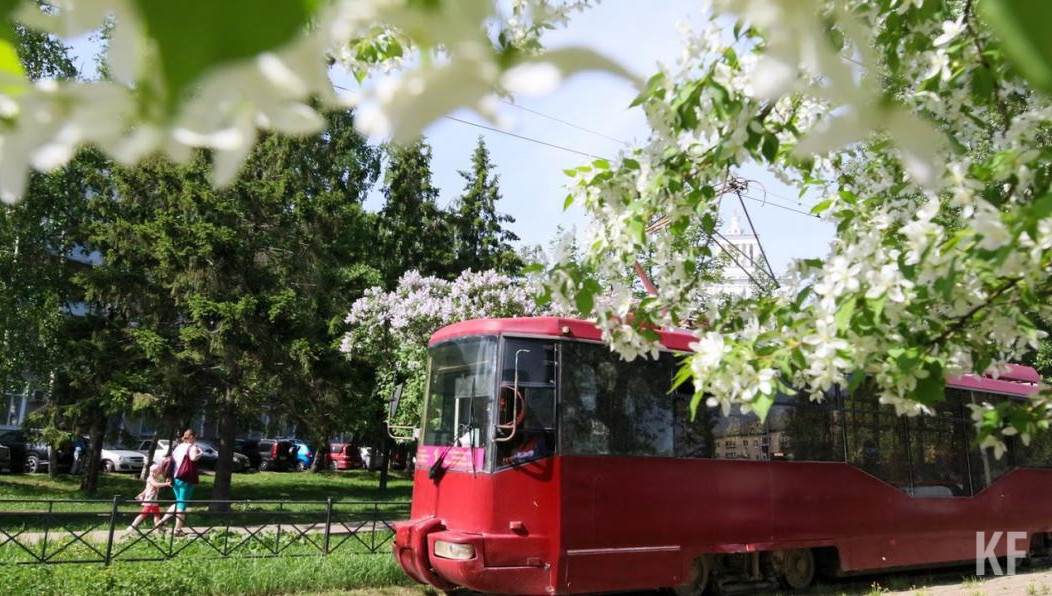 По этому факту пройдет служебная проверка.