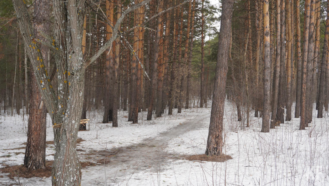 Аутсайдер - площадь у мечети «Джамиг».