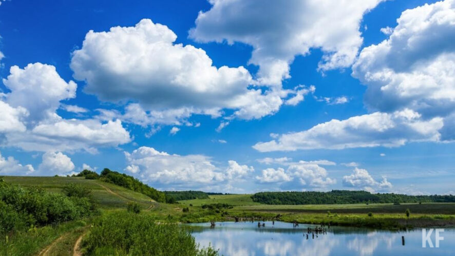 Реконструкция будет проводиться в рамках подпрограммы &laquo;Обеспечение условий развития агропромышленного комплекса&raquo;.