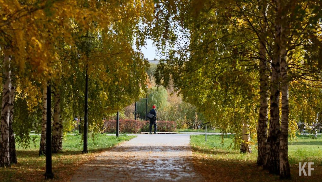 В каждом дворе должен быть свой сквер.