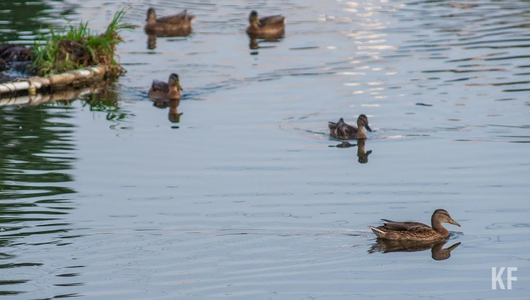 У мужчины были проблемы с долгами.