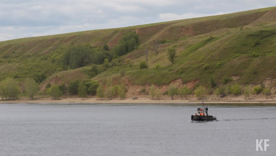 Рабочие посадят вдоль тротуара деревья и поставят ограждения.