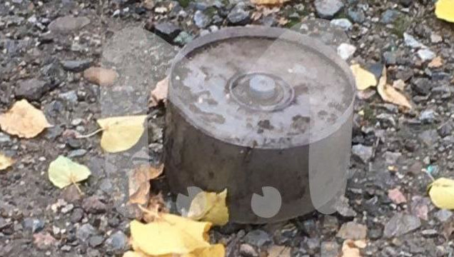 Бдительная горожанка обнаружила подозрительный предмет на улице.