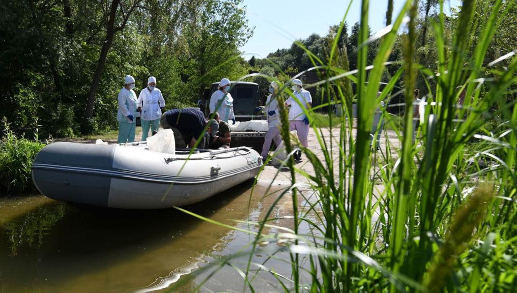 Противомалярийные мероприятия  в городе продолжаются.