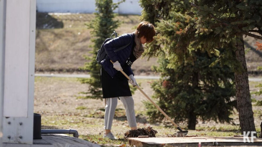 Уборки запланированы на 23