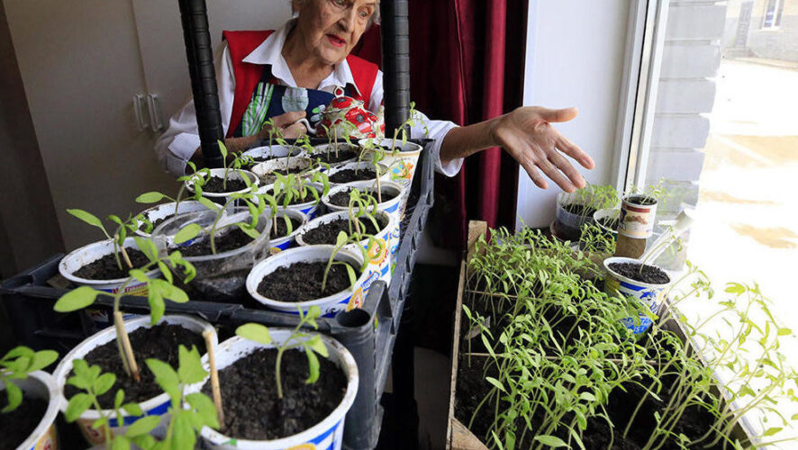 Председатель казанского клуба садоводов &laquo;Отрада&raquo; Татьяна Водянова раскрывает нюансы и предупреждает о частых ошибках.