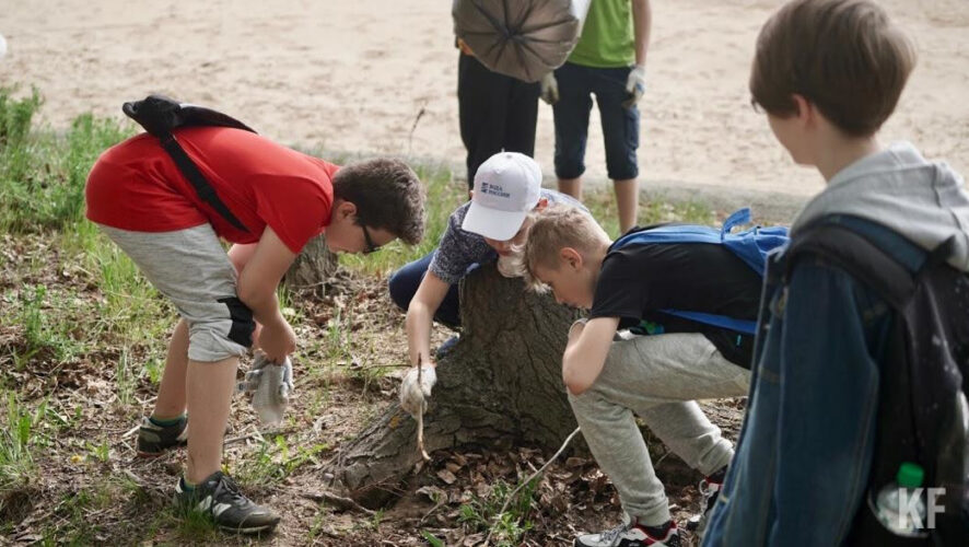 Конкурс проведут среди учеников 5-10 классов по трем возрастным категориям и пяти направлениям.