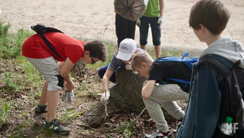 Конкурс проведут среди учеников 5-10 классов по трем возрастным категориям и пяти направлениям.