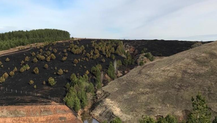 На территории Виталия Касакина огонь уничтожил 12 га сельхозугодий и сотни деревьев.
