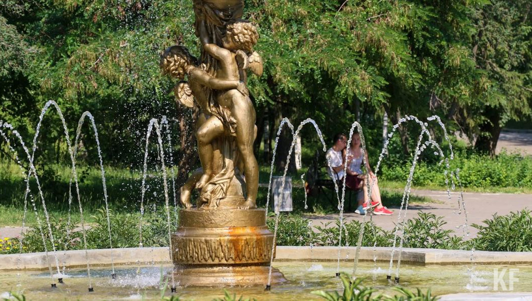 Увидеть этих насекомых становится возможным с середины июля.