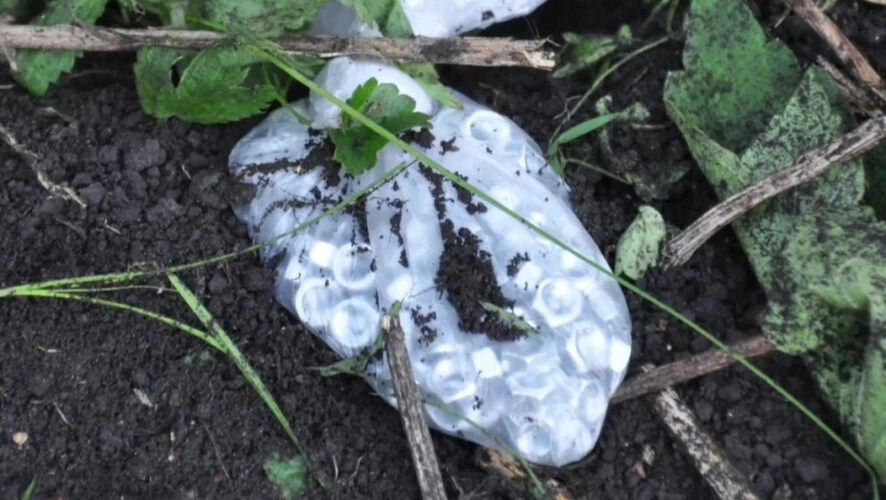 В ходе спецоперации никто среди мирных жителей и правоохранителей не пострадал.