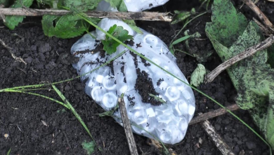 В ходе спецоперации никто среди мирных жителей и правоохранителей не пострадал.