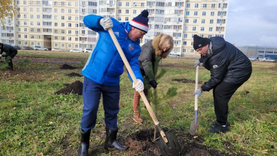 Высадили 58 деревцев.