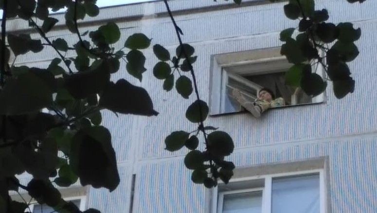 Сидящую в окне старушку заметили соседи.