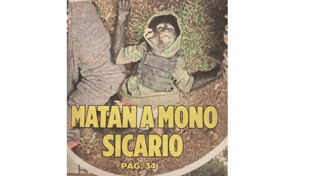 Предполагают