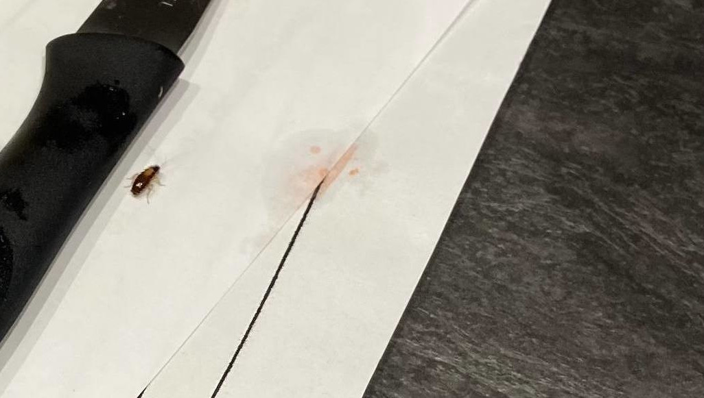 Жалобы на засилье насекомых в квартирах продолжают поступать.