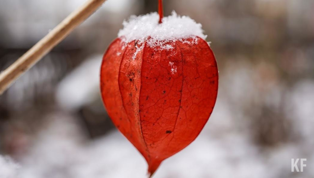 Сюда входят цветы и визит в кафе или ресторан.