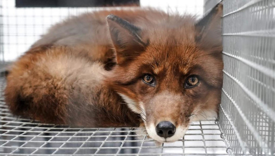 Ребенок сильно испугался.