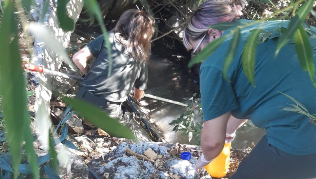 Нечистоты попадали в речку.