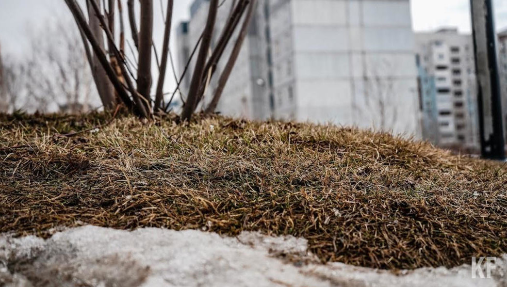 На дорогах сохранится гололедица.