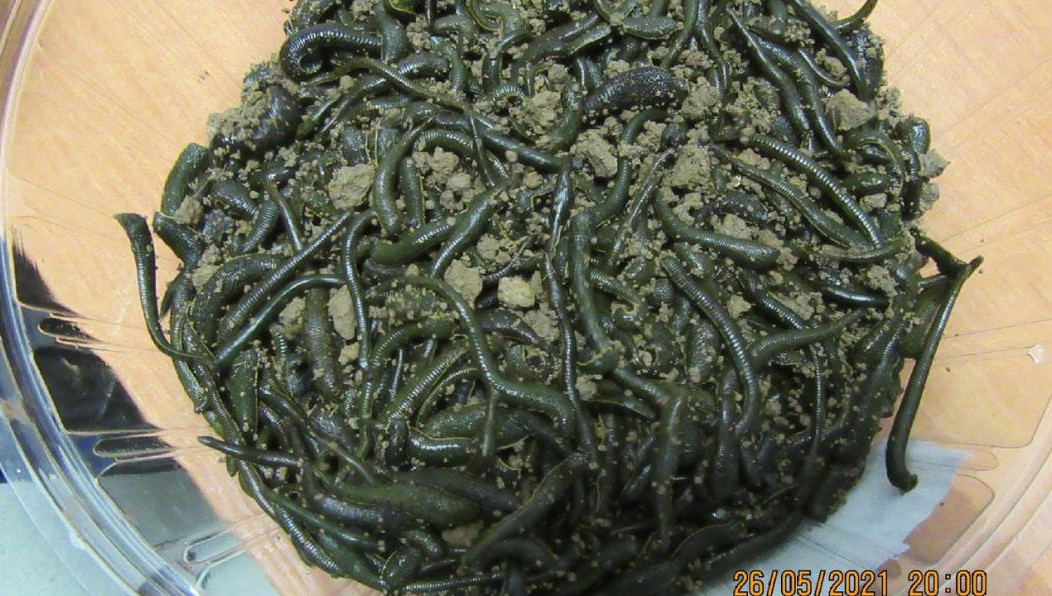 Живой товар потянул на десять килограммов.