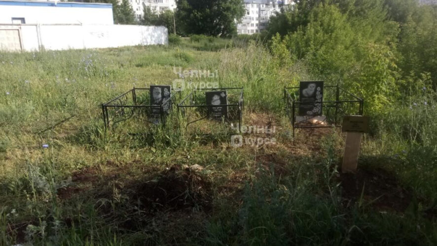 Владельцы умерших питомцев не поскупились и установили мраморные памятники с оградками.
