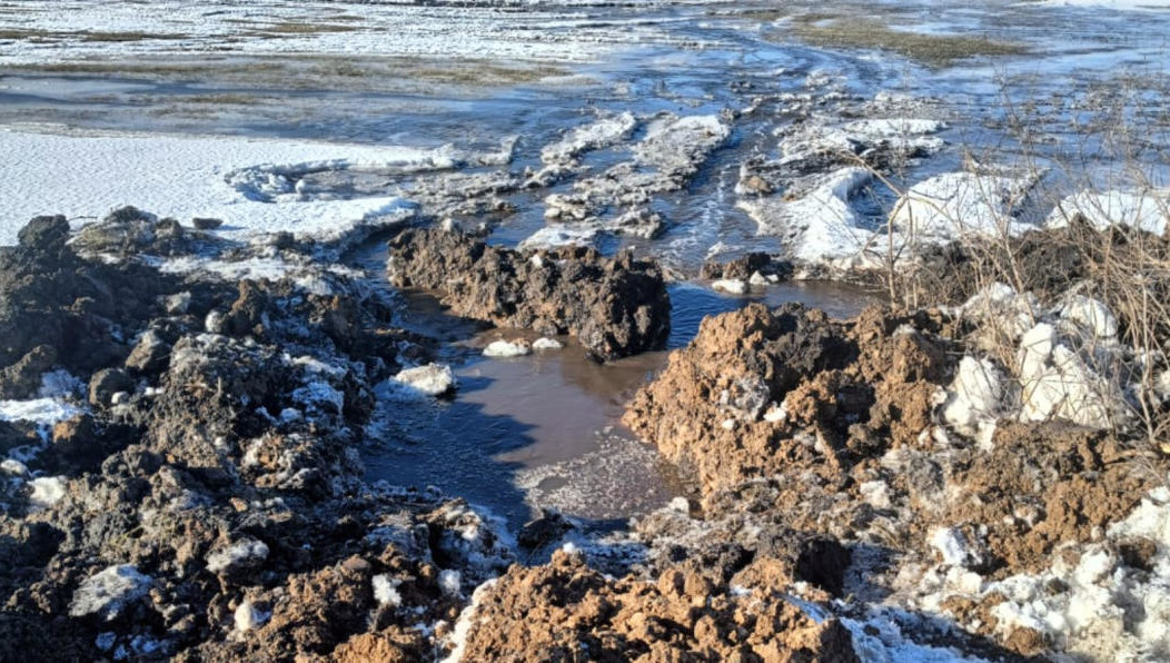 Специалисты отобрали пробы