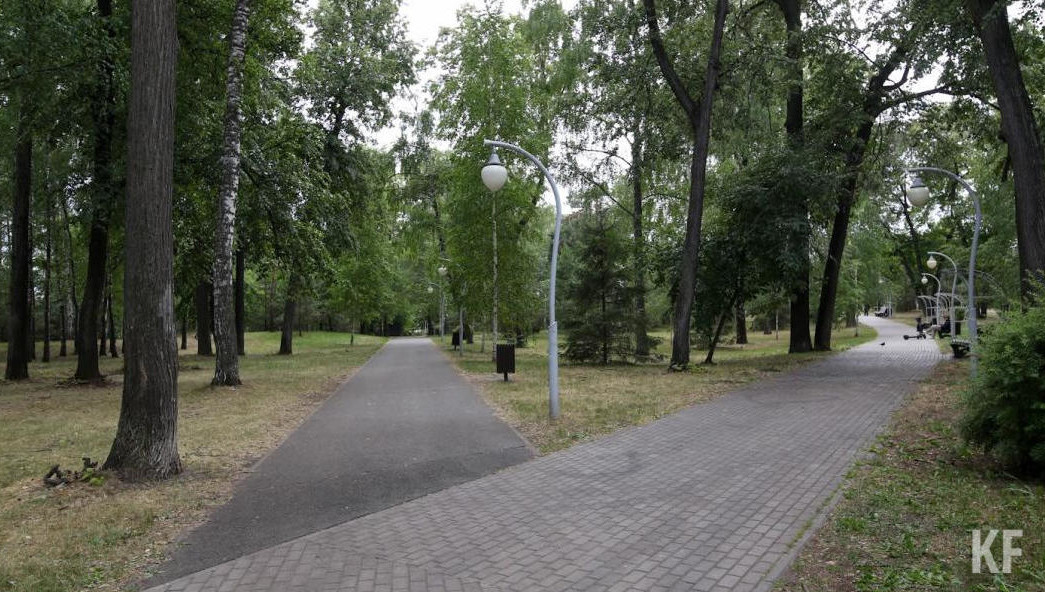 Деревья появились в честь 70-летия учебного заведения.