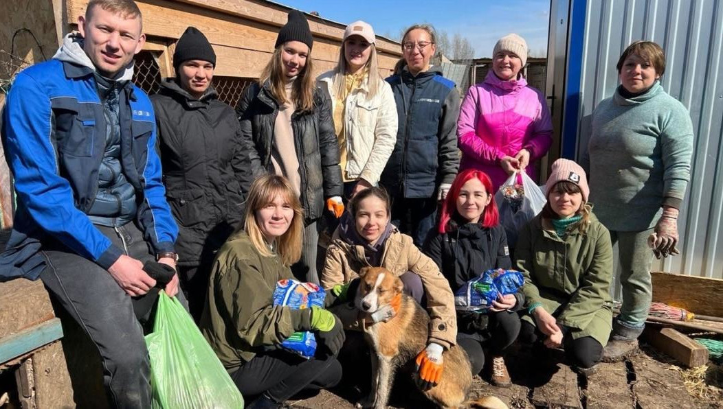 В «Добрых руках» находятся около 150 бездомных животных.