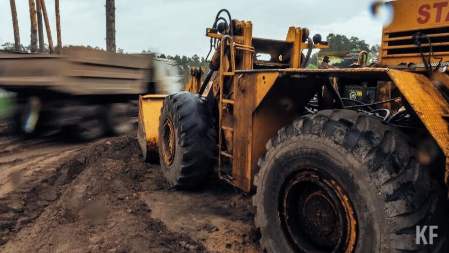 Марат Зяббаров рассказал о влиянии аномальной жары на посевы в Татарстане