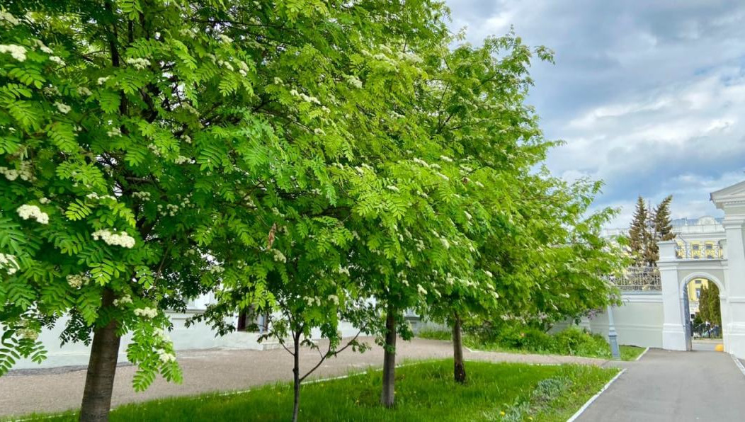 Кроме этого