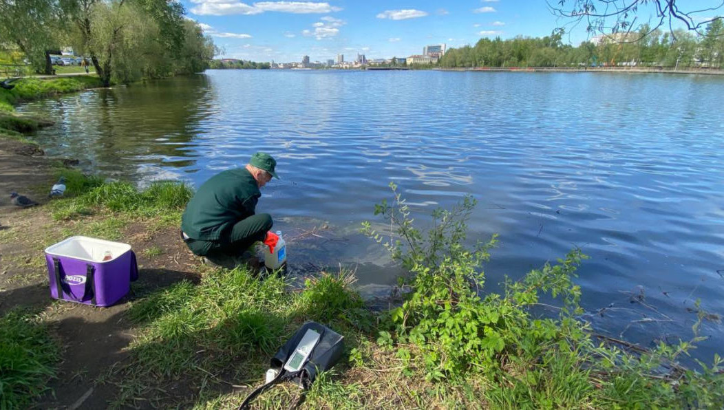 Пена в озере не была обнаружена