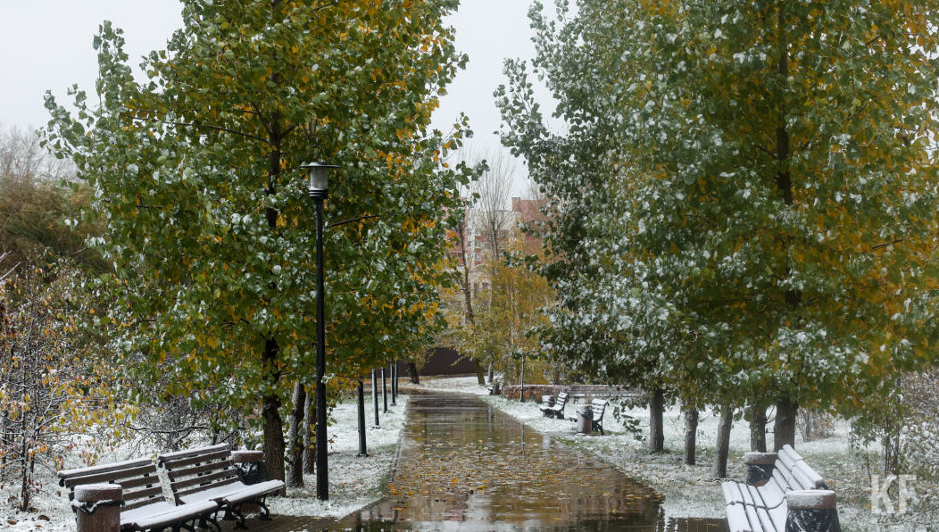 Ежегодные акции по охране природы проводятся по всей России уже на протяжении четырех лет.