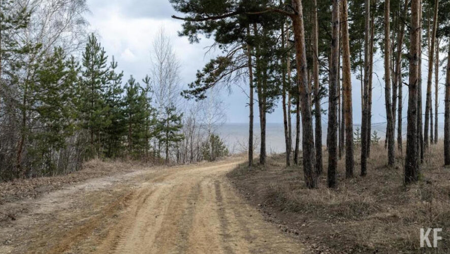 Пожароопасности присвоен 4 класс.