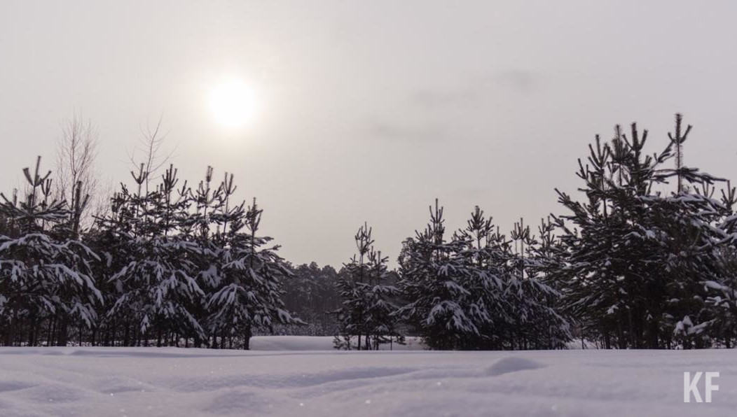 Документов на пользование землей у ИПшника не было.