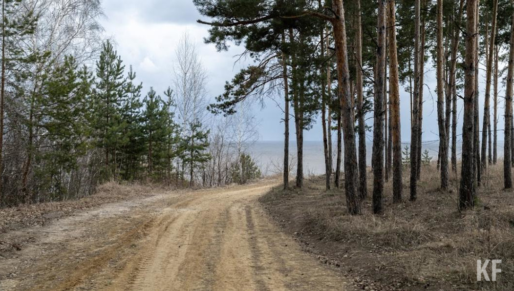 Авария произошла в 300 метрах от конноспортивной школы «Тулпар».