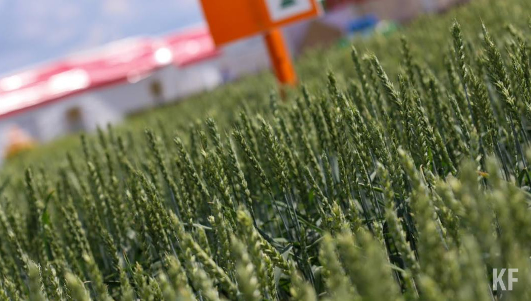 Министр сельского хозяйства республики обратил внимание