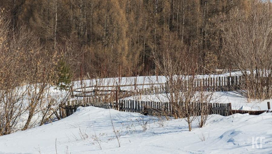 На услугу исполнитель должен предоставить как минимум 12-месячную гарантию с даты подписания документа о приемке.