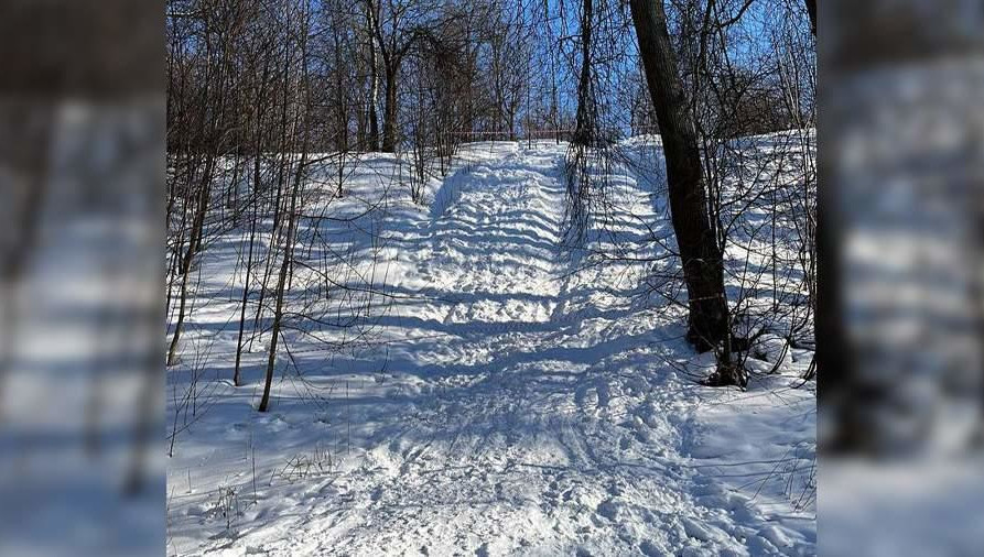 Ребёнок врезался в дерево