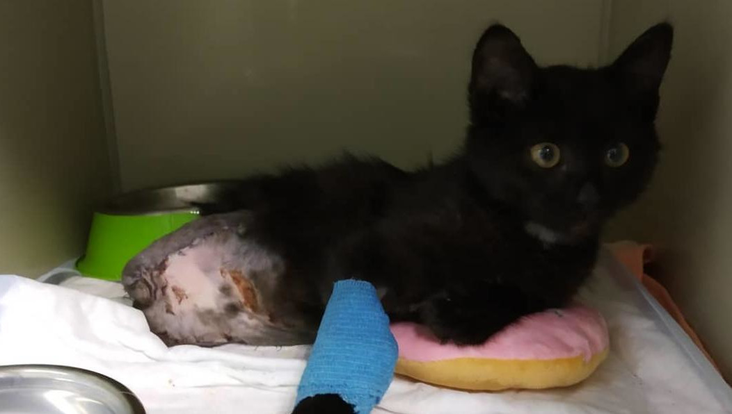 Ее состояние стабильное