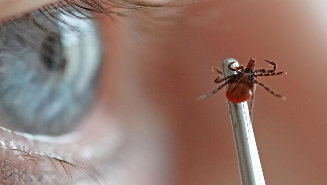 Это первый случай в 2023 году.