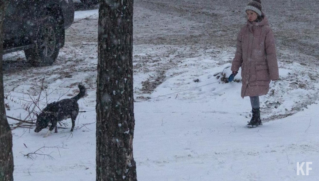 По словам Фадеева