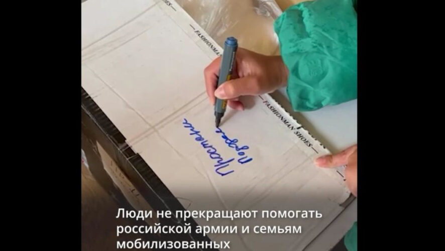 В команде состоят 800 человек.