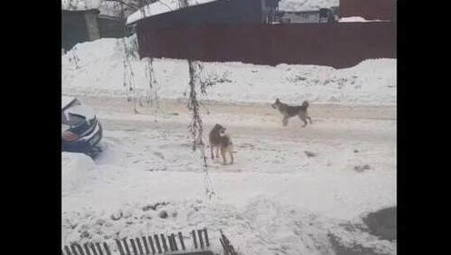 Как рассказал автор сообщения