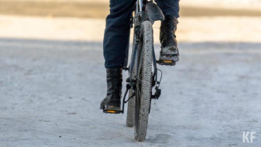 Автовладельцы