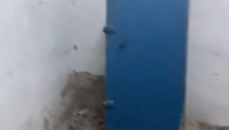 На 20 квадратных метрах собираются разместить 30 первоклашек.