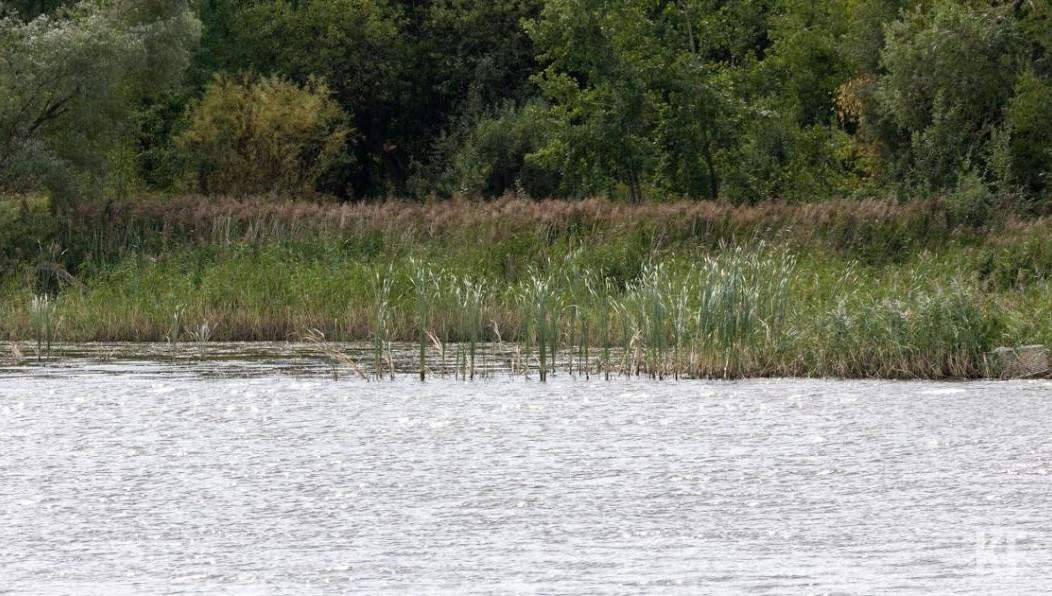 Общую стоимость работ оценили в 164 миллиона рублей.